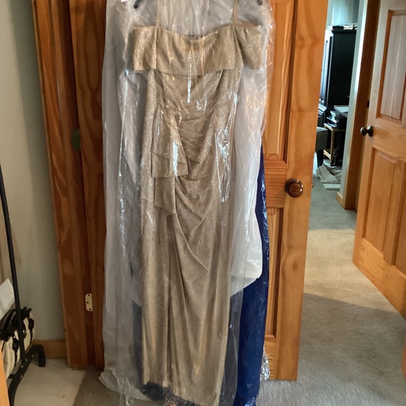 Xscape Gown - Picture 6 of 7